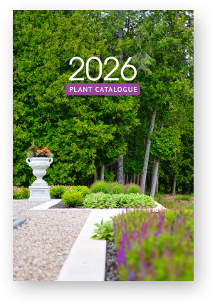 2026 Plant Catalogue